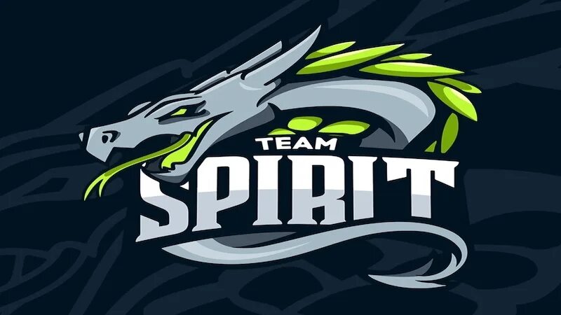 Team spirit shopify. Команда тим спирит. Тим спирит лого. Ава тим спирит. Team Spirit Dota 2.