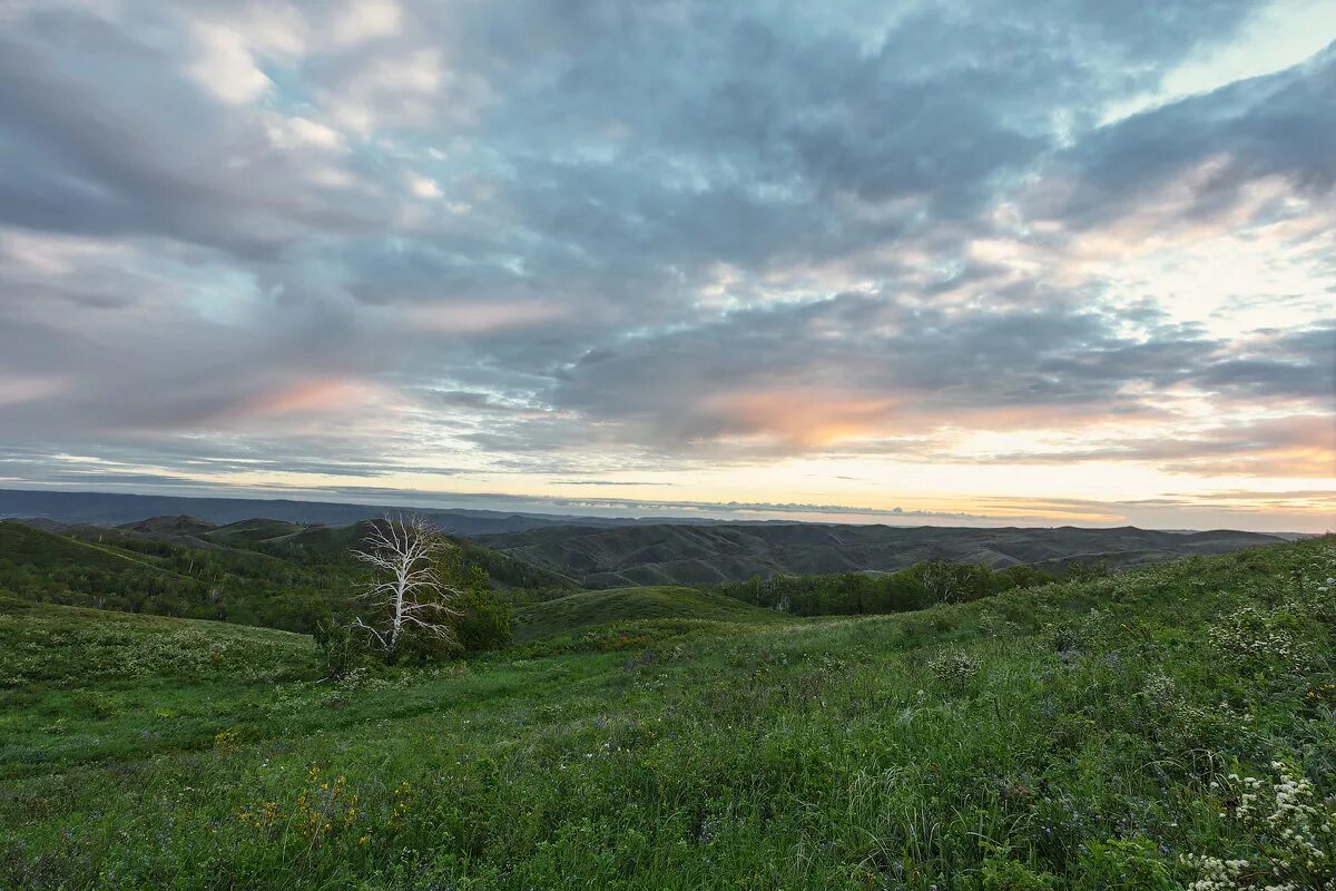 оренбургские просторы. оренбургские просторы. степная зона самарской области. оренбург степи. южный урал орск степи.