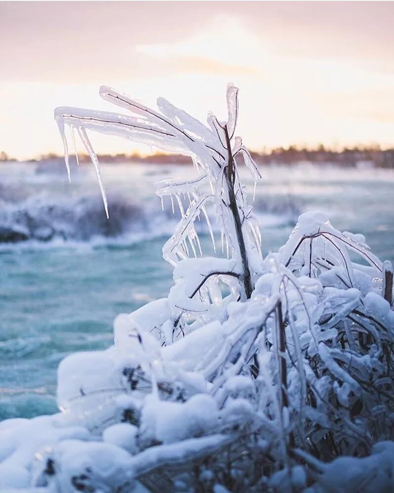 Frozen fall. Группа the Frozen autumn. The Frozen autumn. Frozen autumn static Cold. Клаудио бросио the Frozen autumn.