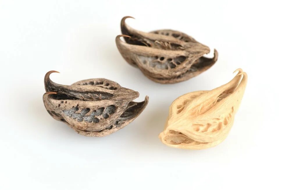 Железные перчатки с когтями. Когти гаруды билд. Коготь гаруды. Украшения из медвежьих когтей. Древний кинжал.