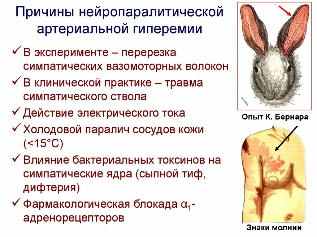 Причины общей артериальной гиперемии