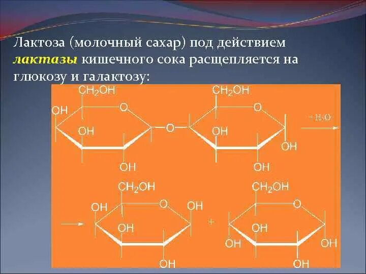 Лактоза, 1 кг. Лактоза в аптеке. Лактоза. Техническая лактоза. Лактоза.