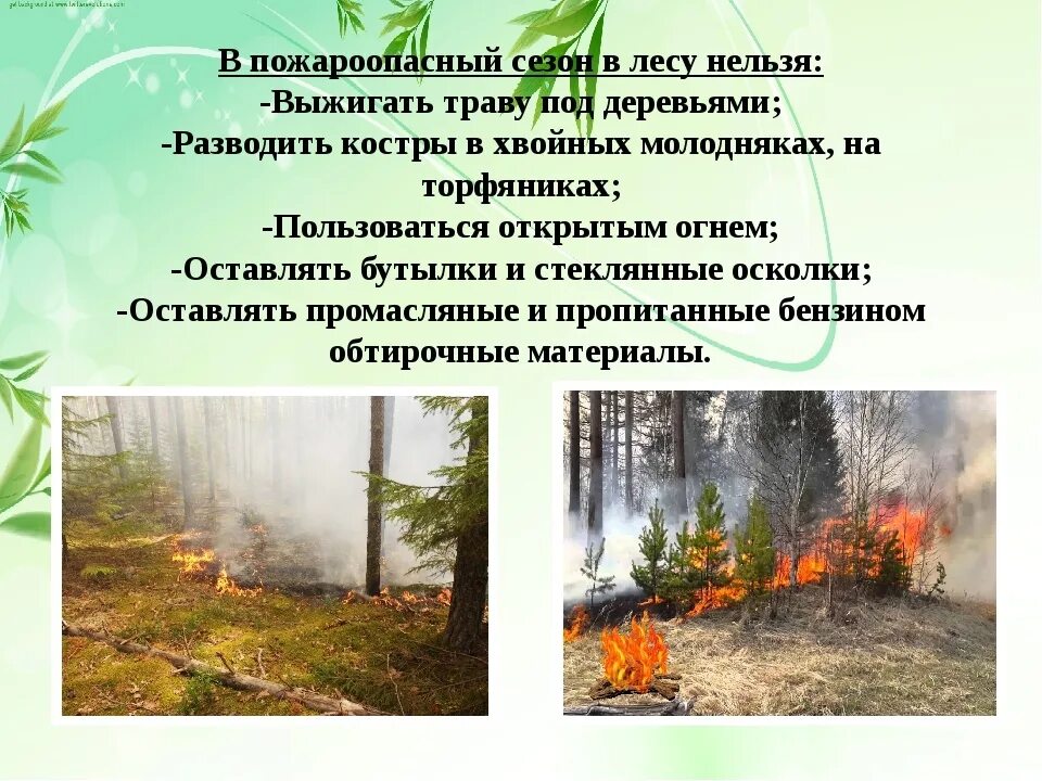 Пожароопасный период это. Пожароопасный период в лесу. Противопожарный период в лесах. Противопожарный режим в лесу.
