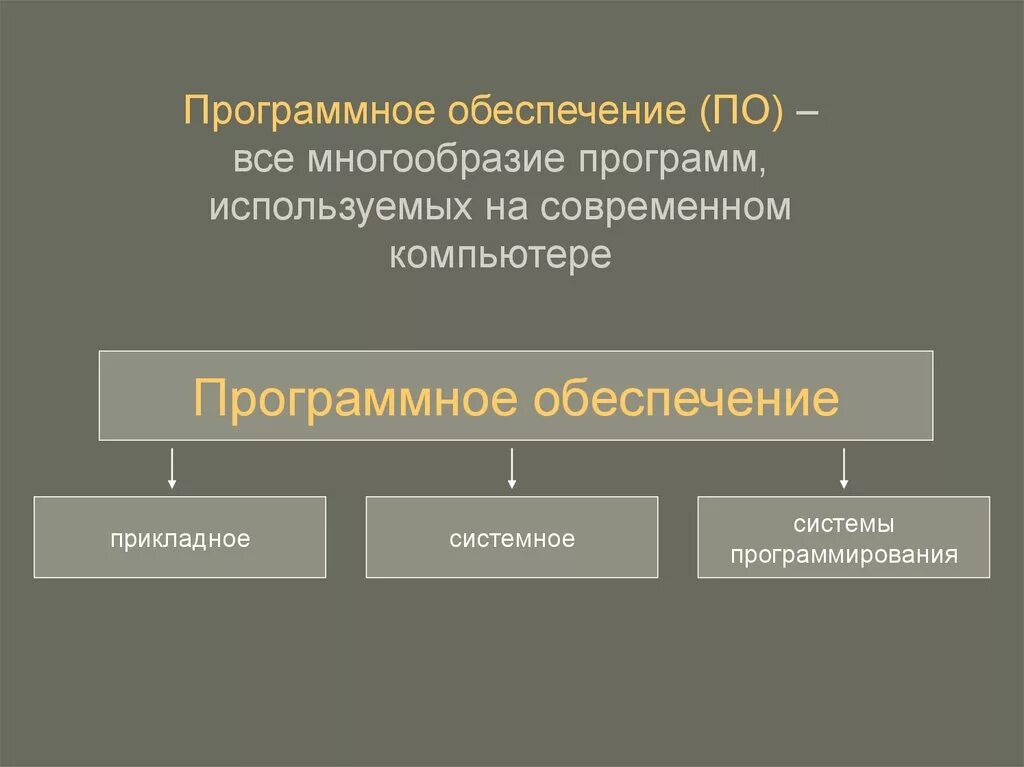 Благодаря разнообразной программе