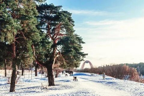 Серебряный бор москва где