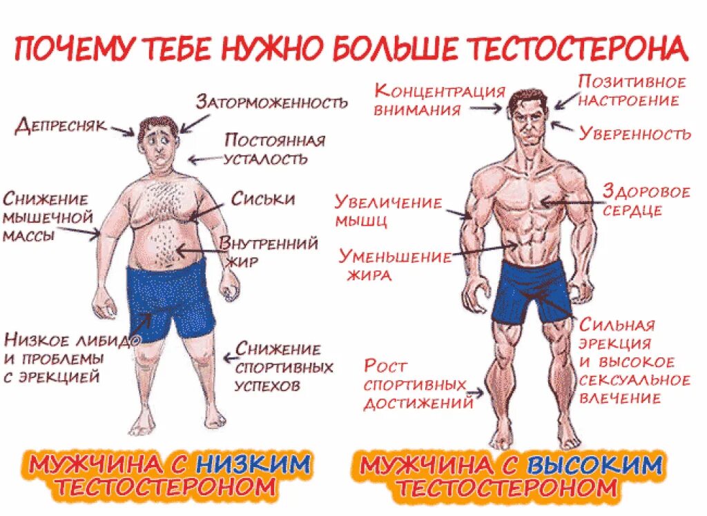 Как можно поднять уровень