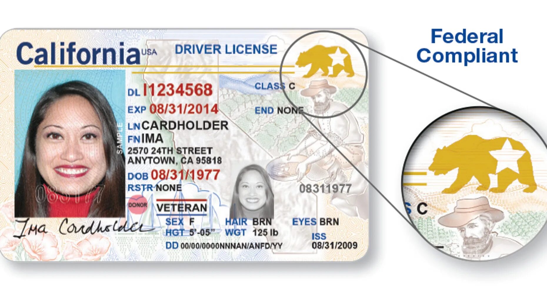 Ids license. Real Driver License. Real ID Driver License.