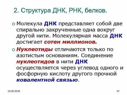 Масса днк