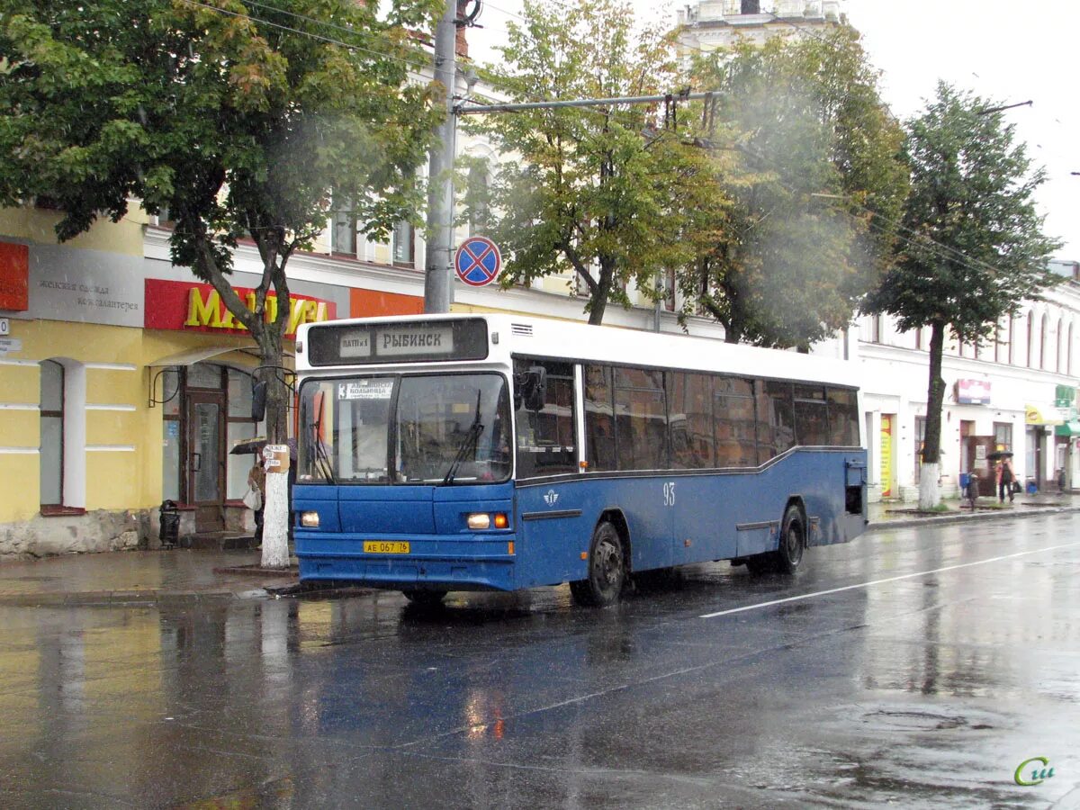 Рыбинский автобус. МАЗ 104 Рыбинск. ПАТП 1 Рыбинск. 104 Автобусы в Рыбинске. МАЗ 104 В Ярославле.