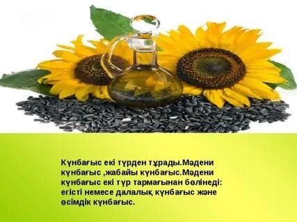 Жасырын камерада қазақ әйелімен секс