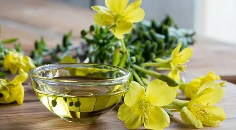 Масло примулы для чего женщинам