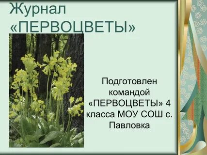 Кладовые у раннецветущих растений