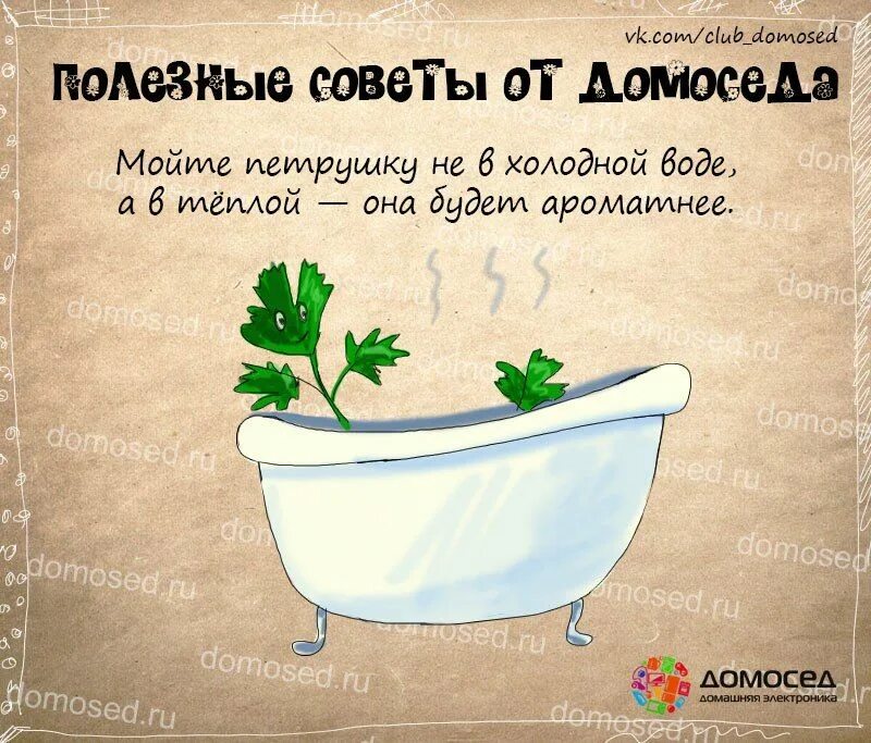 Советы по подам. Полезные советы. Полезные советы домоседа. Полезные советы от домоседа в картинках. Полезные советы по кулинарии в картинках.