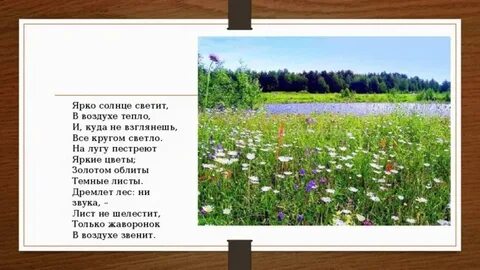 На не скошенном лугу пестрели цветы