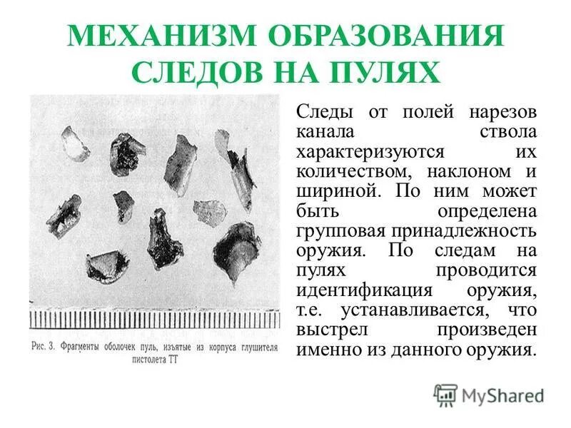 механизм образования следов огнестрельного оружия на пулях
