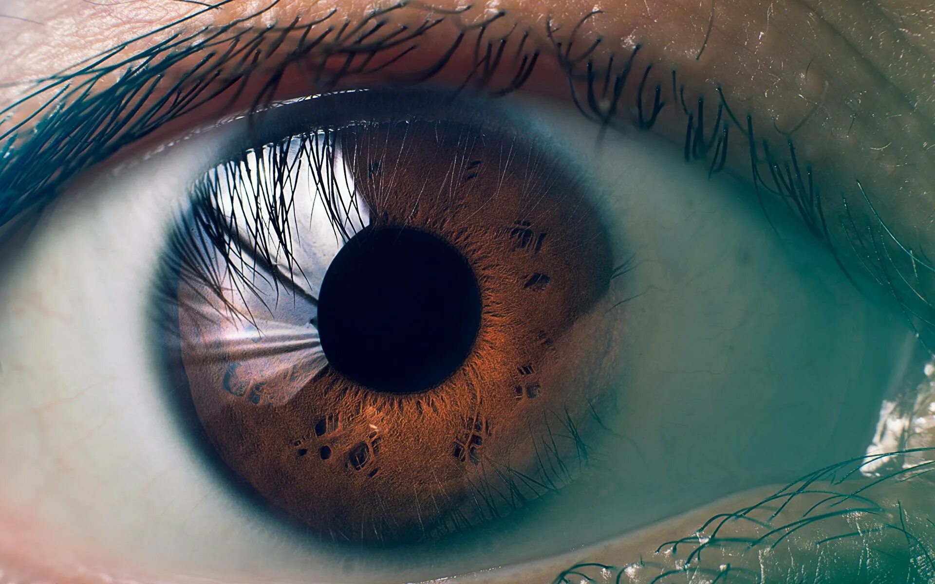 Глаз вон. Зрачок глаза. Человеческий глаз. Макросъемка глаза. Макросъемка глаза человека.