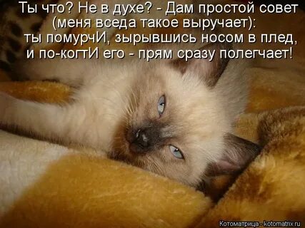 Не в духе