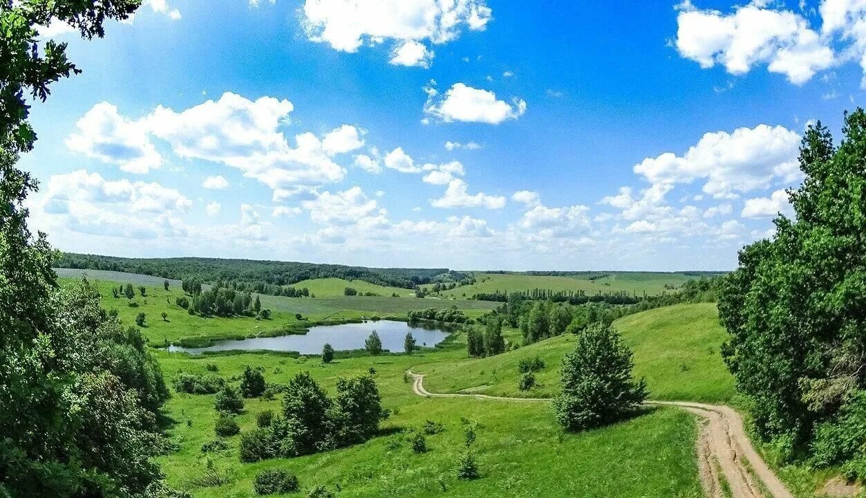 Родные края. Край смалявицки. Край смалявицки. Формы земной поверхности тамбова. Родные просторы пушгоры панорама.