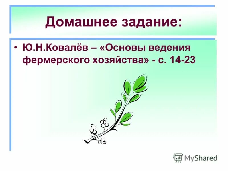 Домашняя работа значение