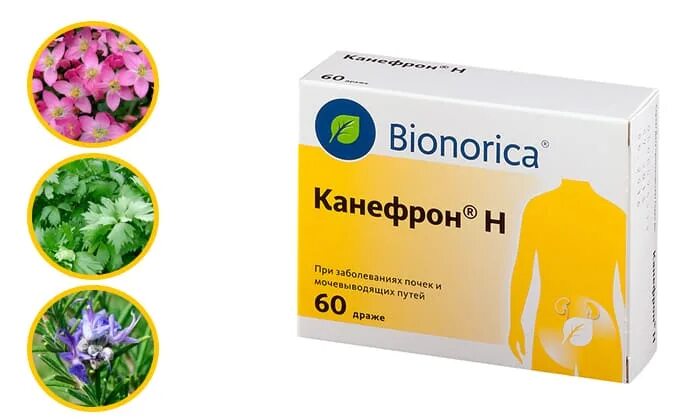 канефрон н драже №60. Bionorica канефрон. канефрон ампулы. Bionorica канефрон н. п/о n60 вн.