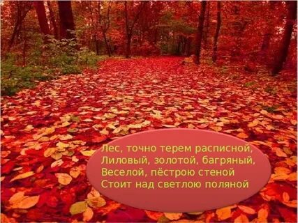 Лиловый золотой багряный значение прилагательных
