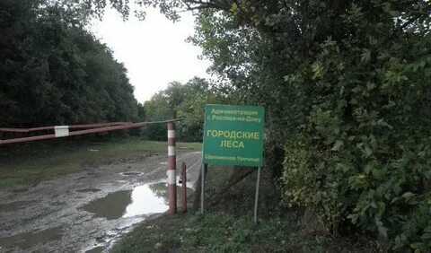 Щепкинский лес ростов на дону прокат велосипедов