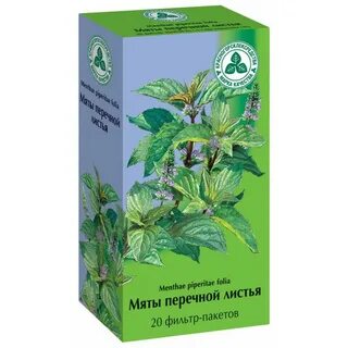 Крапива в аптеке