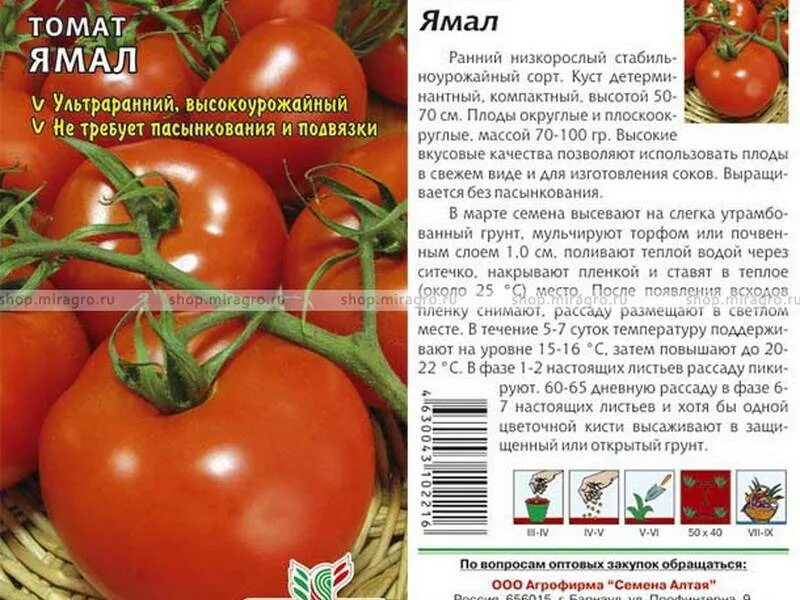 Сорт томатов ямал. Семена томата ямал-200. томат ямал 200 характеристика и описание. томат сорт ямал. семена томат ямал.