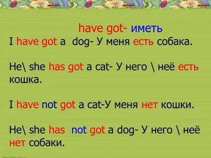 I have not got a... 