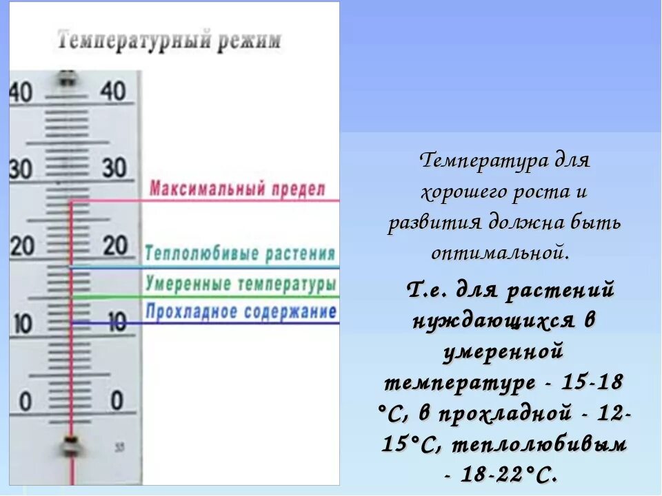 Температура воздуха в комнате 16. Комфортная температура для новорожденного. Оптимальная температура в комнате для новорожденного. Оптимальная температура в помещении для ребенка. Комфортная комнатная температура для новорожденного.