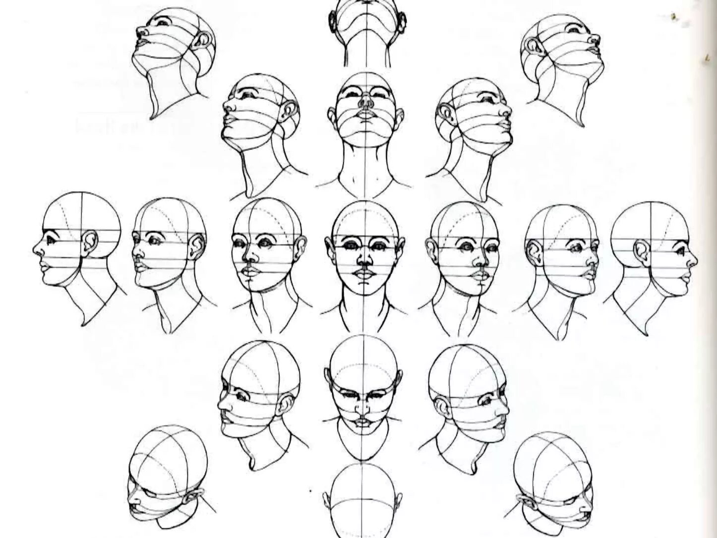 Head forms. Голова человека ракурсы референс. Наклон головы референс. Анатомия человека референс головы. Референс человека снизу вверх лицо.