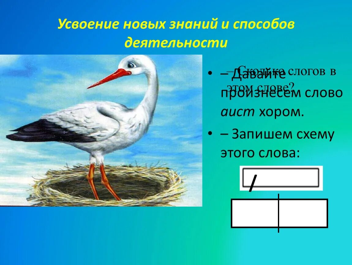 Аист количество звуков. Схема слова Аист. Аист звуковая схема. Аист фонетика. Схема звуков Аист.