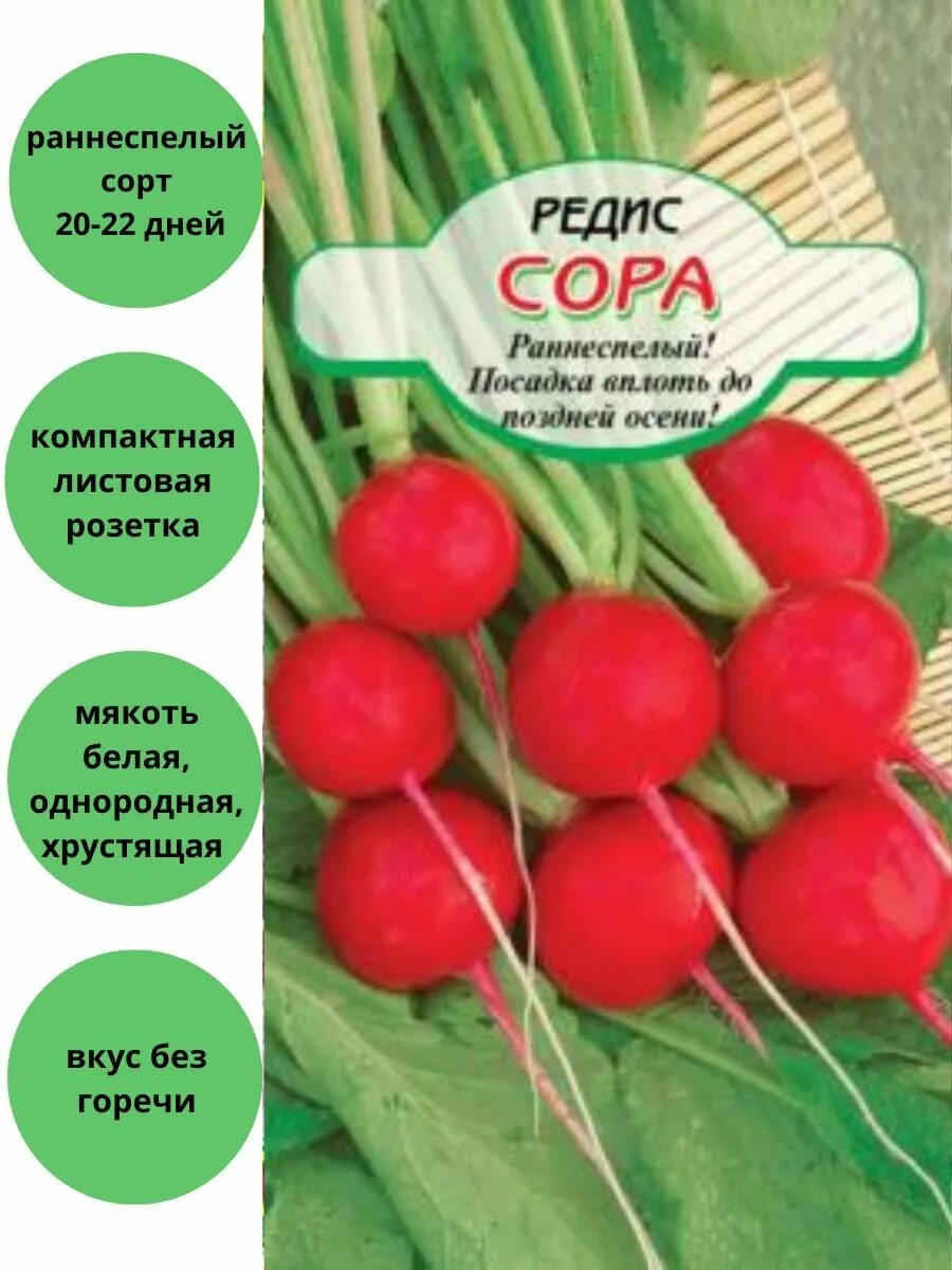 Редис сора. Сорта редиса с маленькой ботвой. Редис Малага 2гр/10. Сибирские сортовые семена цветные пакеты.