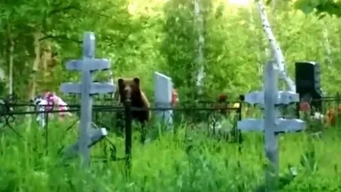 Поющая могила