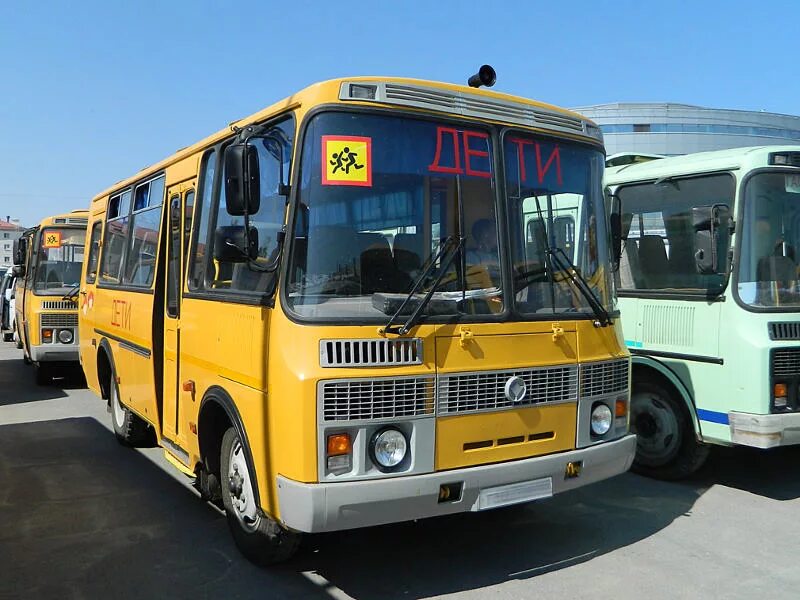 Видео автобусов пазов. ПАЗ 423470-04 школьный автобус. ПАЗ 3205 школьный автобус. ПАЗ-423470 школьный. ПАЗ 32053 школьный автобус.