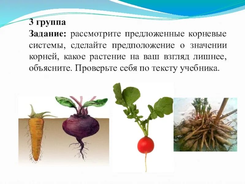 Сделайте предположение в каких
