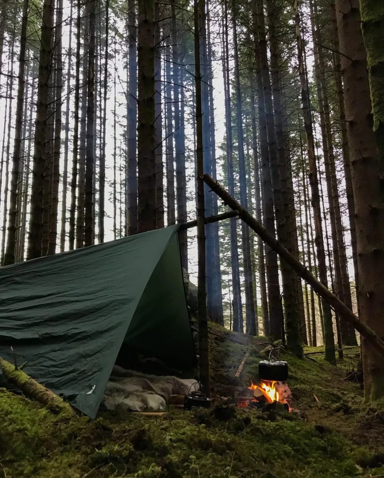 Кемпинг кемпинг. Туризм с палатками. Поход с палатками. Палатка в лесу.