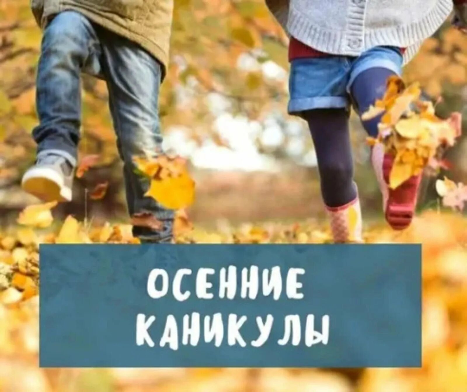 Про осенние каникулы. Осенние каникулы. Веселых осенних каникул. Осенние каникулы баннер. Дети на осенних каникулах.