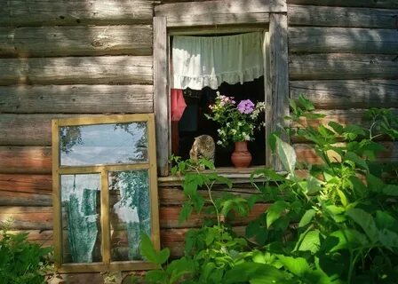 Окна благодать