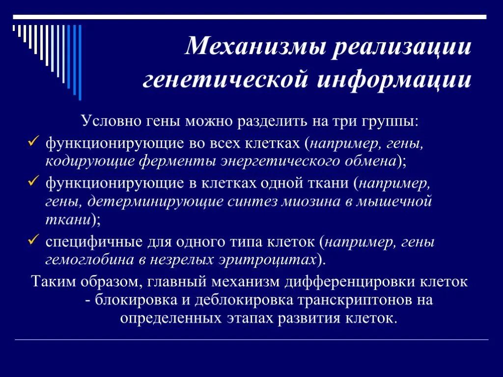 Механизм реализации наследственной информации. Механизм реализации наследственной информации в признаки организма. Реализация генетической информации. Роль в реализации наследственной информации