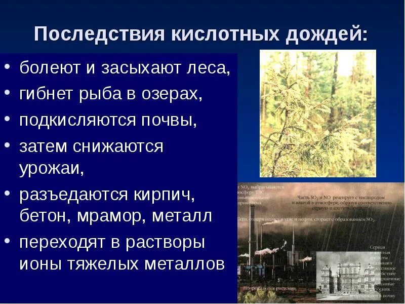 Воздействие кислотных дождей