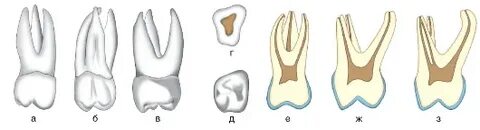 моншада жалаңаш