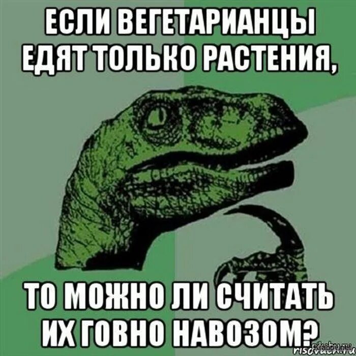 Мемы про вегетарианцев. Веселые вегетарианцы. Мемы про веганство. Вегетарианские мемы. Веган слова