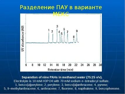 Капиллярный электрофорез