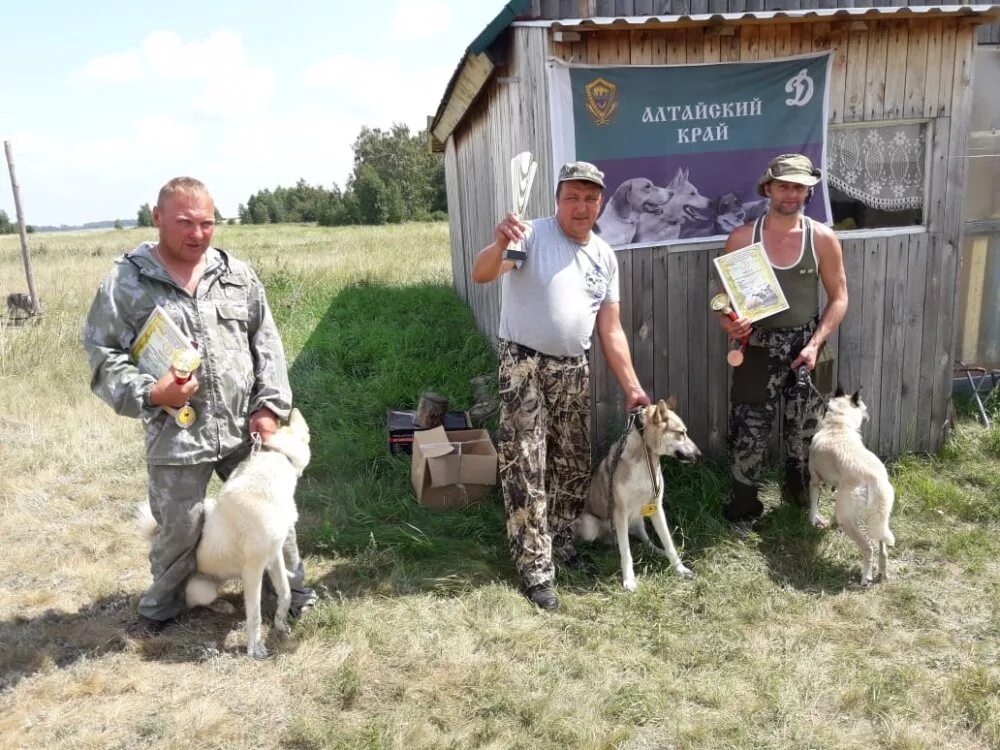 Погода в вылково алтайского края. Охота Тюменцевский район. Алтайский край Тюменцевский район село ключи. КХ Зайцев Алтайский край. П Свободный Тюменцевский район.