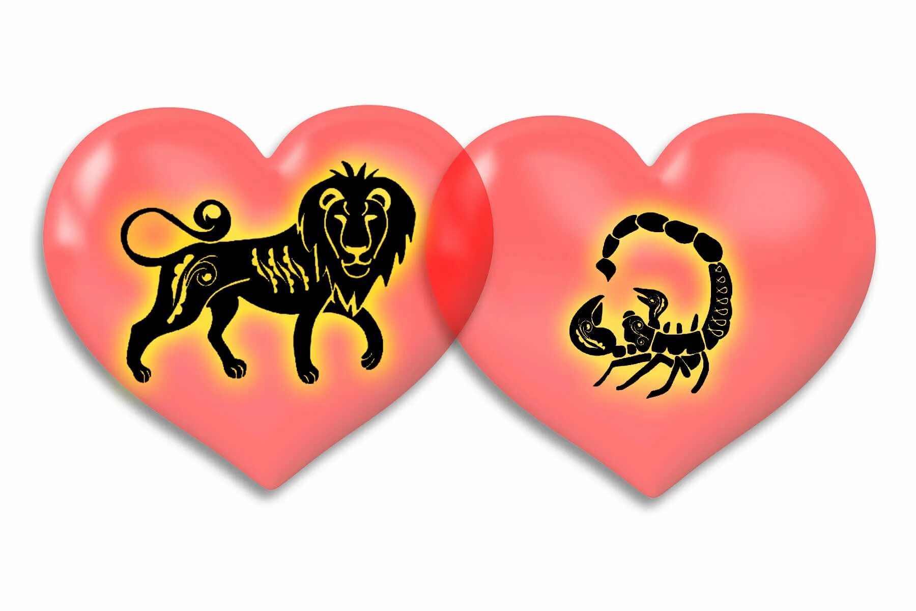 Совместимость львов и скорпионов. Лев и Скорпион. Любовь скорпиона. Лев и Скорпион совместимость. Знаки зодиака Лев и Скорпион.