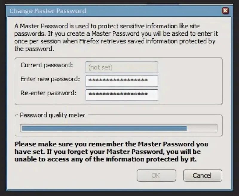 Master password