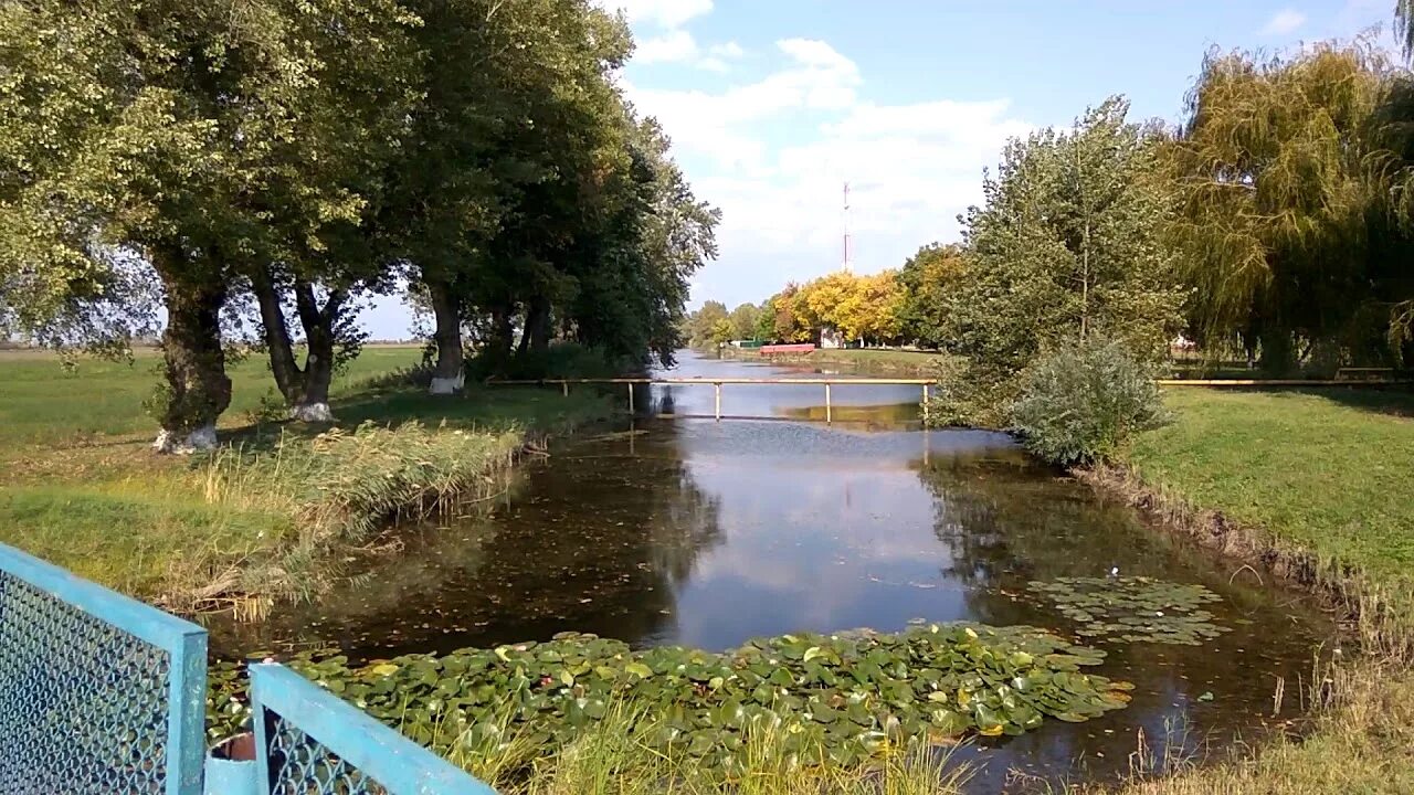 Погода красноармейский поселок октябрьский. Поселок Рисоопытный Краснодарский край. Пос Рисоопытный Красноармейского района Краснодарского края. Рисоопытный Красноармейский район. Красноармейский район Краснодарский край поселок Круглик.