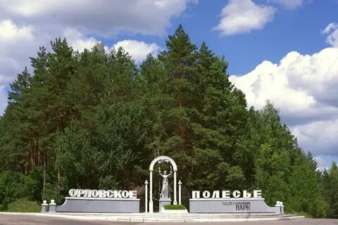 Орловское полесье снять
