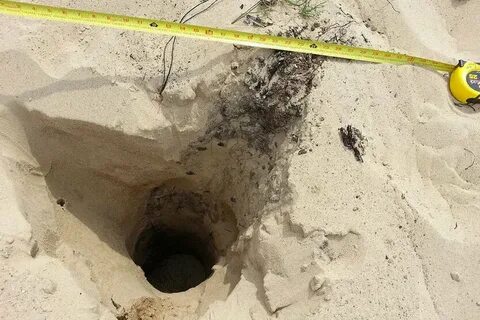 Cause holes